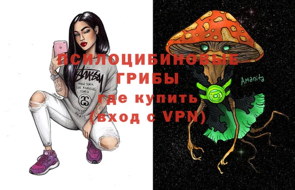стафф Алзамай