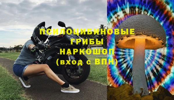 a pvp Абаза