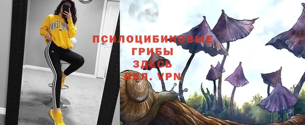 стафф Алзамай